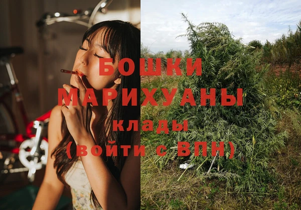 ПСИЛОЦИБИНОВЫЕ ГРИБЫ Гусиноозёрск