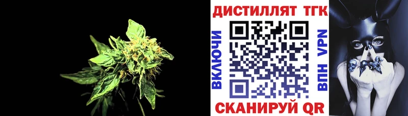 Купить где  Кимры  ТГК вейп 