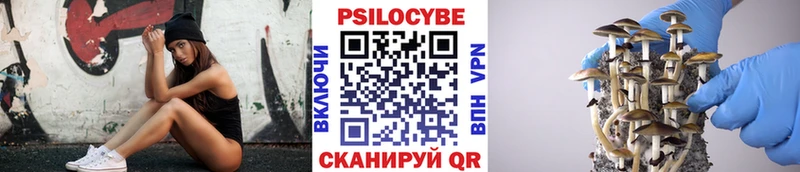Псилоцибиновые грибы Magic Shrooms  Купить где  Кимры 